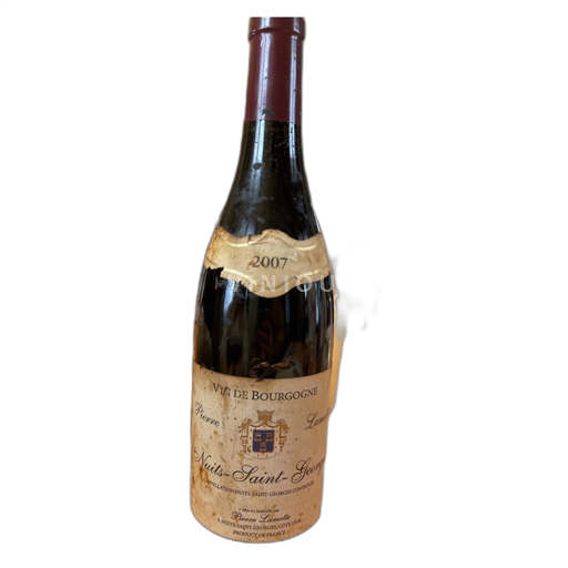 Burgundsko Nuits-saint-georges Pierre Lamotte 2007