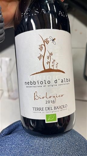 Piemonte Nebbiolo d'Alba Terre del Barolo Biologico 2016
