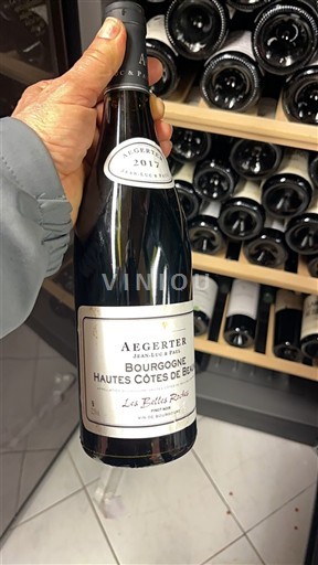 Borgogna Non specificato Aegerter Les Belles Ruches 2017