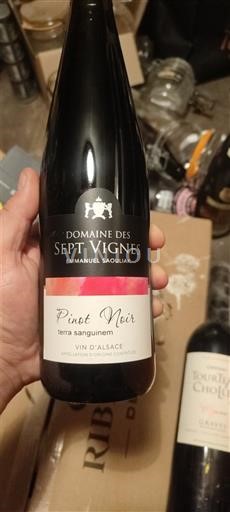 Elzas Domaine S Sept Vignes Terra Sanguinem 2022