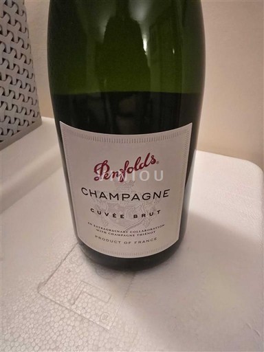 Champagne Champagner Penfolds Brut Ohne Jahrgang
