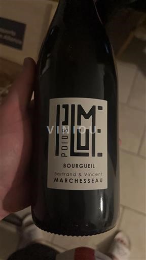 Loire-dalen Bourgueil Bertrand & Vincent Marchesseau Poids Lourd 2024