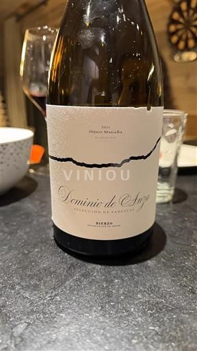 Кастилія і Леон Б'єрсо Dominio de Anza 2021