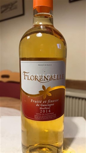 Sud-Ouest Côtes de Gascogne Florencebelle 2014