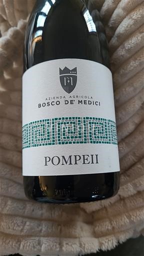 Кампанія Помпеяно Bosco De' Medici Pompeii 2021