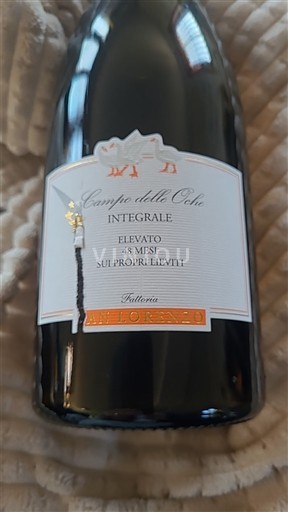Marken Verdicchio dei Castelli di Jesi Fattoria AL LORO NERO Campo delle Oche Integrale 2019