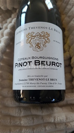 Burgundsko Burgundské vinice Domaine Thevenot-Le Brun Pinot Beurot 2024