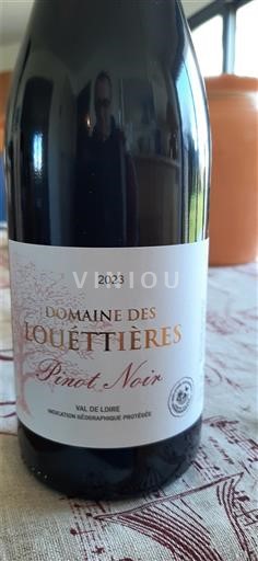 Loire Valley Domaine S Louettières 2023