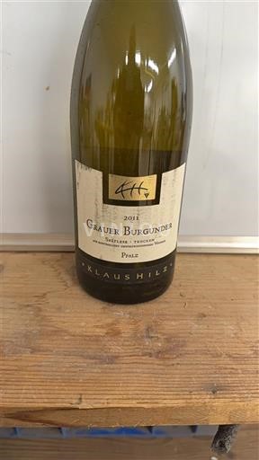 Pfalz Klaus Hilz 2011