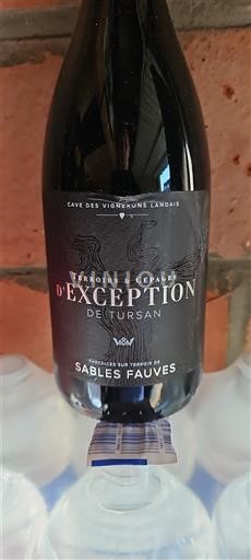 Viner Rouge sec Terroirs & Cépages d'Exception Cave des Vignerons Landais 2021 Frankrike Sydväst Tursan AOC