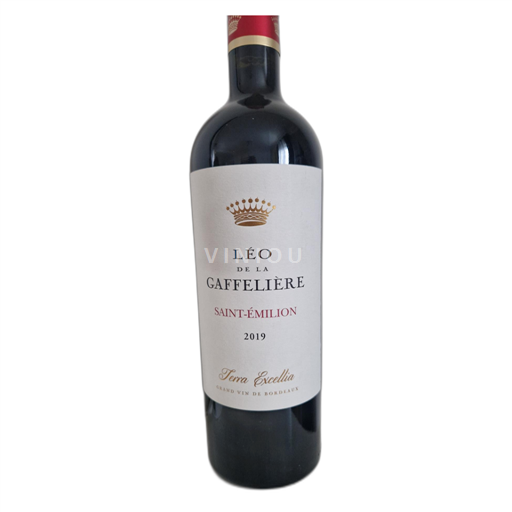 Bordeaux Saint-Émilion Léo de la Gaffelière Terra Excellia 2019