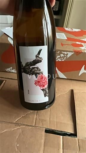 Alsace Vignoble du Rêveur vigne en rose 2022