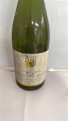 Baden Baden. Baden gutedel Nemilésimat