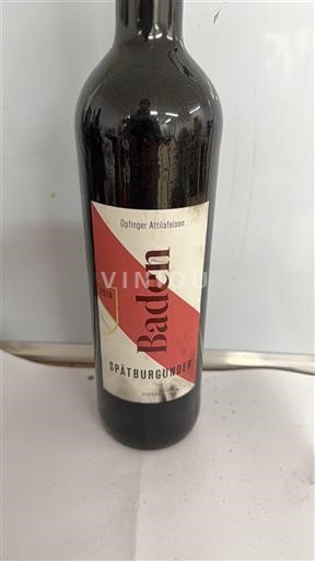 Baden Oplinger Attilaefelsen 2019