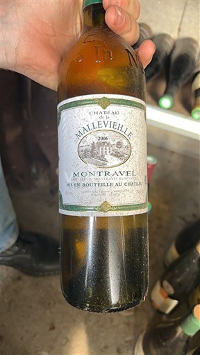 Південний Захід Монравель Château Malleveille 2006