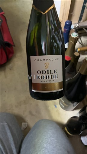 Champagne Champagner Odile Borde Brut Ohne Jahrgang