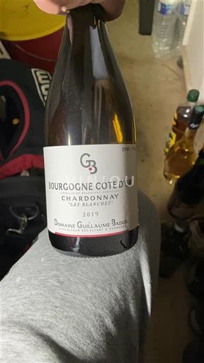 Burgundija Bourgogne zlata obala Domaine Guillaume Baduel Les Blanchets 2019