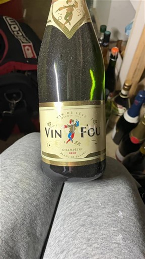 Bourgogne Vin Fou Icke årgångsbetecknad