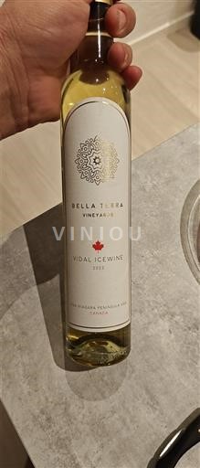 Онтаріо Ніагарський півострів Bella Terra Vineyards Vidal Icewine 2021