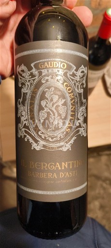Piemonte Barbera d'Asti Gaudio Il Bergantino 2021