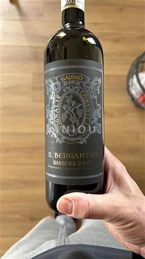 Piemonte Barbera d'Asti Gaudio Il Bergantino 2021