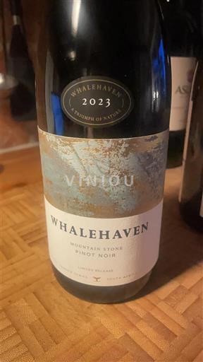 Južna obala Cape Walker Bay Whalehaven Mountain Stone Pinot Noir 2023