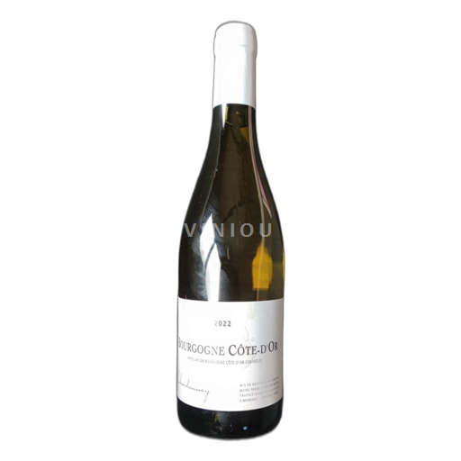 Bourgondië Bourgogne Côte d'Or Chardonnay  2022