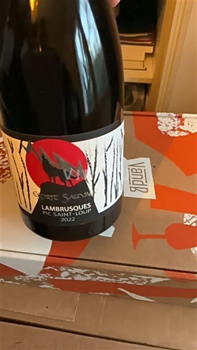 Languedoc Pic-saint-loup Domaine Coteaux du Pic Domaine Salina Lambrusques 2022