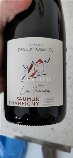 Loiren laakso Saumur-champigny Domaine S Damoiselles Les Ternières 2024