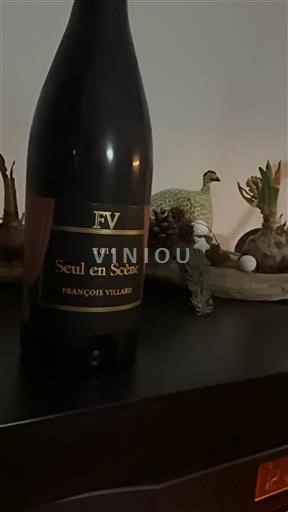 Rhônedalen Côte-rôtie François Villard Seul en Scène 2016