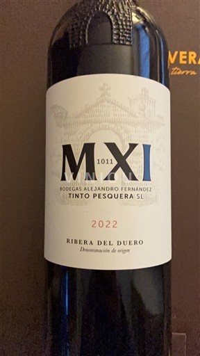 Kastilia ja León Ribera del Duero Bodegas Alejandro Fernandez Tinto Pesquera MXI 2022
