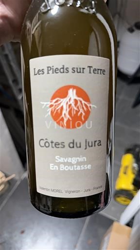 Jura Côtes du Jura Les Pieds sur Terre Savagnin En Boutasse 2023