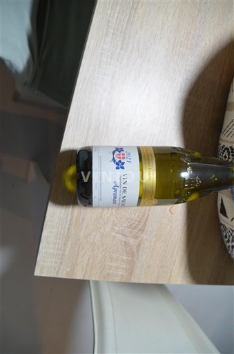 Alps and Rhodanian Region Unspecified Vidal-Fleury Non-Vintage