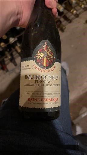 Bourgogne Reine Pédauque 2010