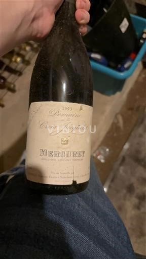 Burgundsko Mercurey Domaine Cret Jacquet 1993