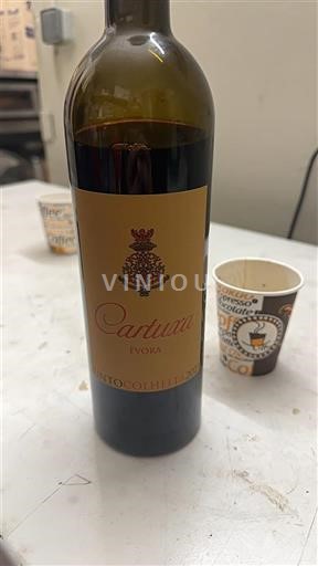 Toscana Non specificato Canturia Ivorìa Senza annata