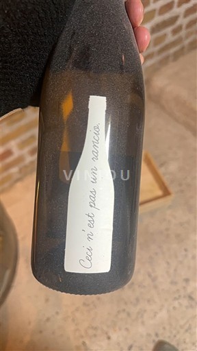 Loire Valley Not Specified Domaine Sébastien Riffault Ceci n'est pas un sancerre 2022