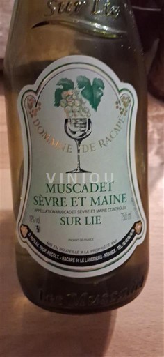 Loire Valley Muscadet Sèvre et Maine Domaine Racapé 2023