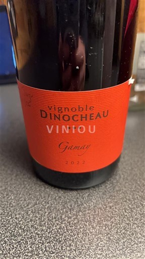 Loiren laakso Touraine Vignoble Dinocheau Gamay 2022