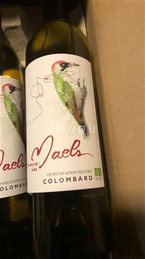 Sud-Ouest Côtes de Gascogne Domaine S Maels Colombard 2024