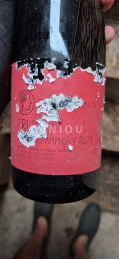 Wijnen Rouge sec Le Fruit Domaine S Roches Neuves 2021 Frankrijk Loirevallei Saumur-champigny AOC