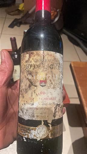 Бордо Кот-де-Бле. Château Puy de l'Igné 2004