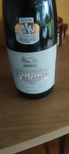Loire Valley Saumur-Champigny Domaine S Macrôlles Non-Vintage