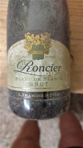 Burgund L. Tramier & Fils Roncier Blanc de Blancs Brut Ohne Jahrgang