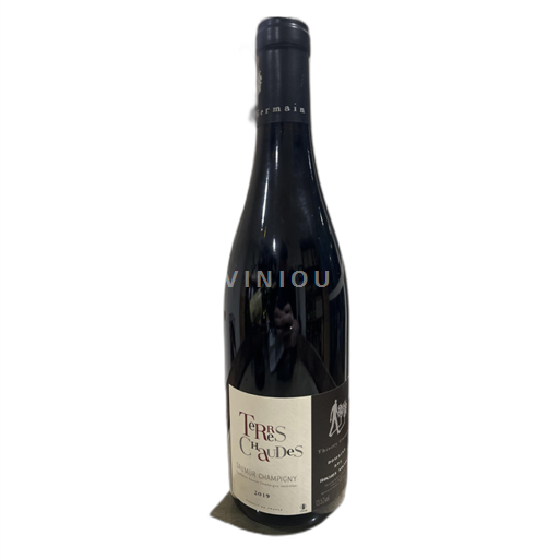 Údolí Loiry Saumur-Champigny Terres Chaudes 2019