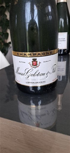 Champagne Musse-Gateteau & Fils Niet-geïntegreerd