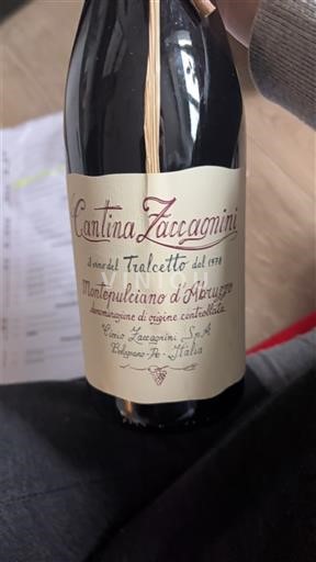 Abruzzo Montepulciano d'Abruzzo Cantina Zaccagnini Tralcetto 2023