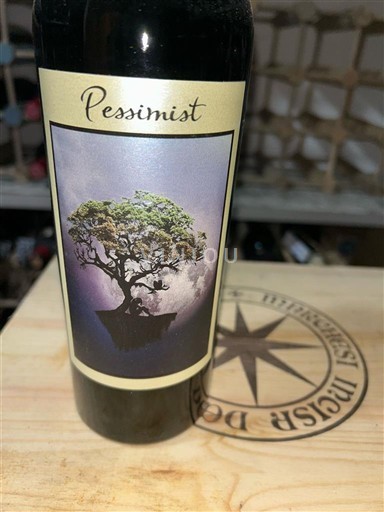 Kalifornialaiset AVA:t Paso Robles Daou Vineyards Pessimist 2021
