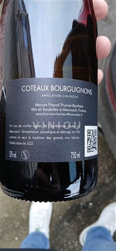 Burgundija Burgundska gricevja Maison Pascal Prunier Bonheur Neleten.
