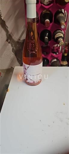 Луарська долина Луара Cabernet d'Anjou 2024